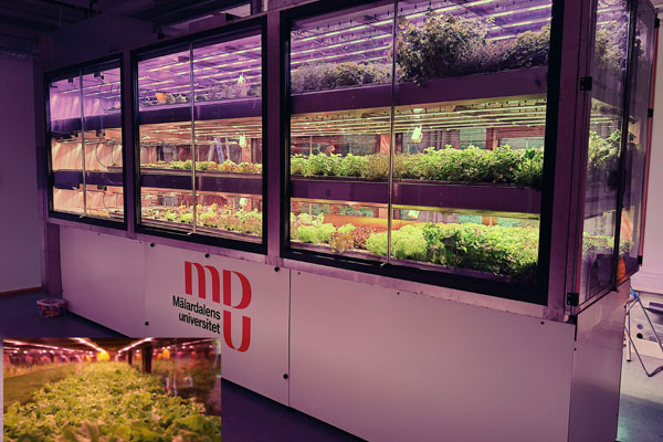 MDU-Farm4Future research in Future Energy